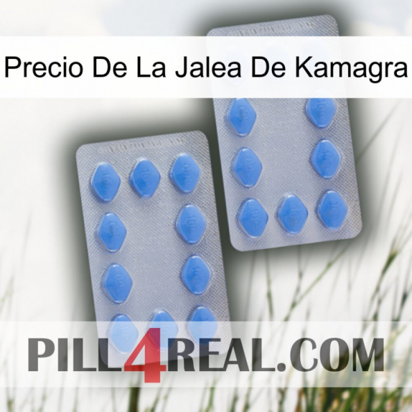 Kamagra Jelly Price 20.jpg